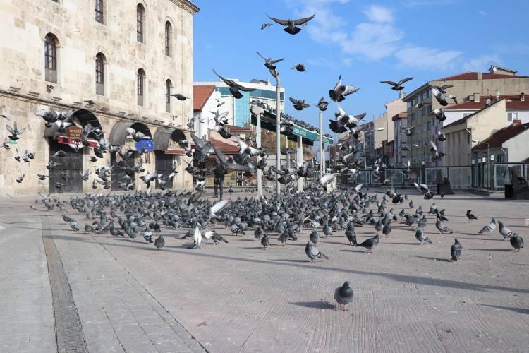 <p>Bolu&rsquo;da sokağa &ccedil;ıkma kısıtlamasında sessizliğe b&uuml;r&uuml;nen kent merkezinde hayvan koruma polisleri g&uuml;vercinleri ve kedileri elleriyle besledi.</p>
