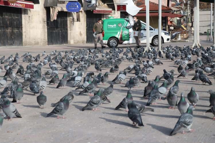 <p>Vatandaşların sokağa &ccedil;ıkamaması nedeniyle sokak hayvanları Asayiş Şube M&uuml;d&uuml;rl&uuml;ğ&uuml; b&uuml;nyesinde kurulan &Ccedil;evre, Doğa ve Hayvanları Koruma B&uuml;ro Amirliği ekipleri tarafından yalnız bırakılmadı.</p>
