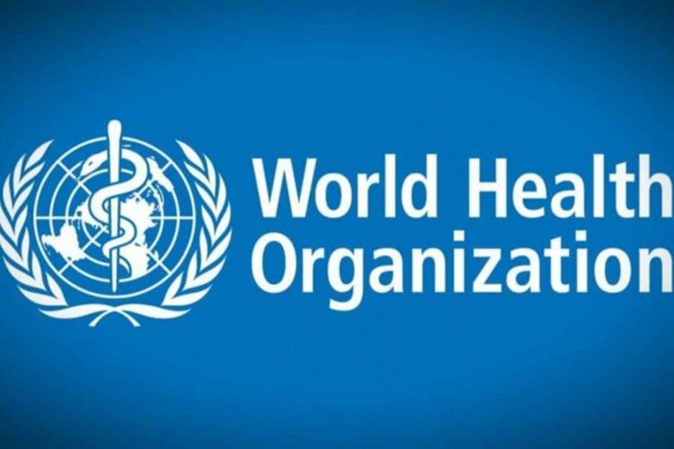 <p>Mesajda, İngiltere'nin mutasyonla ilgili çalışmalar konusunda bilgi paylaşımı yaptığı ve WHO'nun "bu virüs mutasyonunun özellikleri ve etkileri konusunda daha çok şey öğrendikçe, üye ülkeler ve halkla paylaşacağı" ifade edildi.</p>
<p> </p>