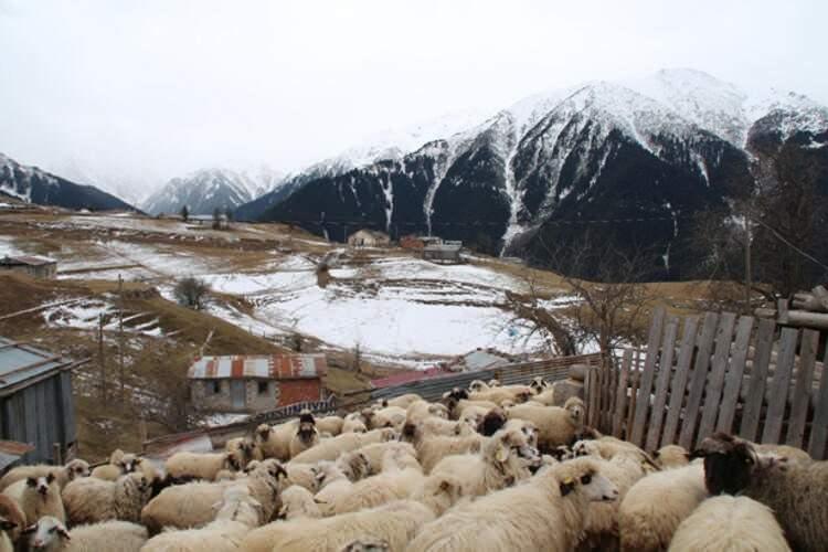 <p>Şimdi de kar yağdı. Bizim kayağımız meşhurdur. Kar tutan yerlere &ccedil;ıkıyoruz, kayıyoruz. Biz burada &ccedil;ok eğleniyoruz. Şu an &ccedil;ok kar olmadığı i&ccedil;in tam kayamıyoruz, her yer kar olsun o zaman eğlence &ccedil;ok daha g&uuml;zel olacak" dedi.</p>

<ul>
</ul>
