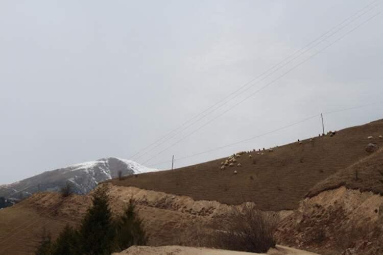 <p>'K&Ouml;YDE KALMAYI TERCİH ETTİK'&nbsp;</p>

<p>Cevat Havuz da, "Bu yıl buradayım, şehre inmeyeceğim. Vir&uuml;s dolayısı ile k&ouml;yde kalmayı tercih ettim. Burada &ccedil;ok mutluyuz, kendimizi g&uuml;vende hissediyoruz.</p>
