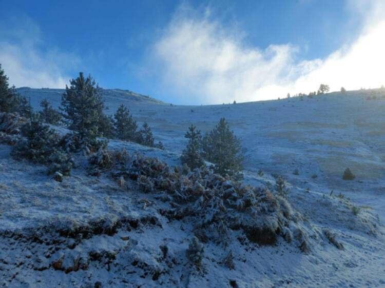 <p>&lsquo;HASTALIKTAN UZAK BİR HAYAT YAŞIYORUZ&rsquo;&nbsp;</p>

<p>&Ccedil;oban Mete Havuz ise, &ldquo;Burada doğa senin, g&ouml;z&uuml;n&uuml;n alabildiğince &ouml;zg&uuml;rl&uuml;k var. Temiz havada nefes alabilmenin keyfini yaşıyoruz. Hastalıktan uzak bir hayat yaşıyoruz&rdquo; dedi.</p>
