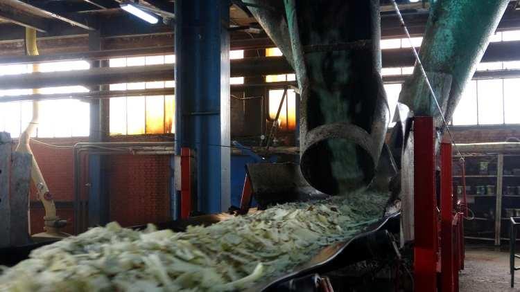 <p>2020 yılında 44 bin 900 dekar, 67 köy, bin 678 çiftçi ile pancar üretim sözleşmesi yapıldı. Bu yıl işlenecek pancar miktarı 220 bin tondur. Kuruluşundan bu yana rekor üretim gerçekleştirilecek” dedi. </p>
<p> </p>