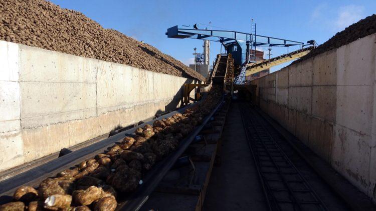 <p>Erciş’te toplam 2 bin 334 dönüm alana kurulan şeker fabrikası, Van ile Bitlis’te şeker pancarı üreten köylülere can suyu olmaya devam ediyor. </p>
