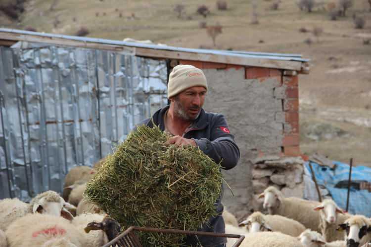 <p>Elektriğini bile doğal yollardan sağlıyor</p>

<p>Hayatını doğallığa adayan Taşpınar, t&uuml;m yiyeceklerini de kendi baktığı inek, koyun, tavuk ve arılardan karşılıyor. &Ccedil;atısına g&uuml;neş paneli kurduğu evinde kendi elektriğini de doğal yollarla elde eden Taşpınar, g&uuml;n boyu hayvanlarıyla ilgileniyor.</p>
