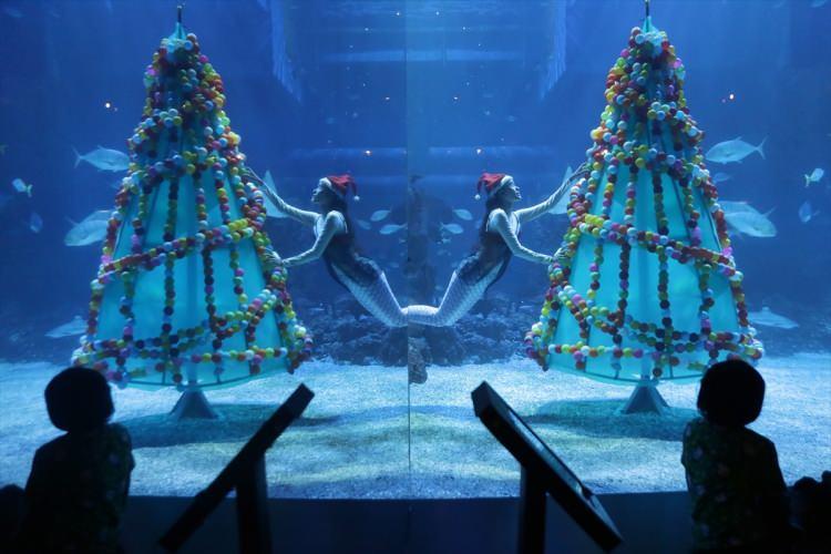 <p>Endonezya’nın başkentinde yer alan Jakarta Aquarium'da Noel baba kostümü giyen dalgıçlar, yaklaşan Noel Bayramı kutlamaları kapsamında Noel ağaçları ile dekor edilen havuzlarda gösteri düzenledi.</p>
