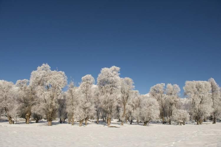 <p>Munzur Dağları arasında kurulu 1500 rakımlı Ovacık'ta, kar yağışının ardından etkili olan soğuk hava, yaşamı olumsuz etkiliyor. Kar kalınlığının bazı bölgelerde yaklaşık 1 metre olduğu ilçede, dondurucu soğuklar nedeniyle araçların camı buz tuttu, ağaç ve bitkiler kırağıyla kaplandı.</p>
