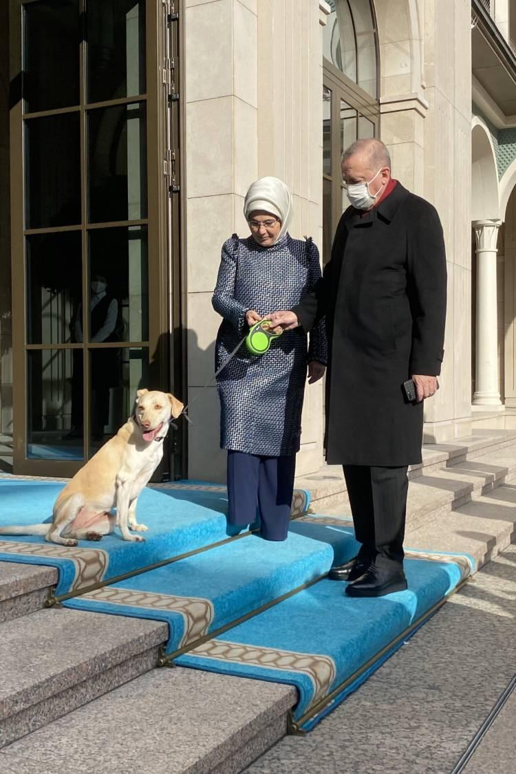 <p>Cumhurbaşkanı Recep Tayyip Erdoğan'ı, eşi Emine Erdoğan'ın barınaktan sahiplendiği "Leblebi" isimli köpek mesaiye uğurladı. O anlara ilişkin fotoğrafları Emine Erdoğan sosyal medya hesabından paylaştı.</p>

<p> </p>
