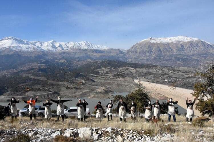 <p>ÖMRÜ BİN YILDAN FAZLA </p>

<p>Dünyada nesli tükenmekte olan sedir ormanlarının en yaygın olduğu yöre, Antalya'nın Kaş, Finike, Elmalı ve Kumluca ilçesi dörtgeni. Sedir ağaçları 40 metre boya, 2 metre çapa kadar, denizden 900 metre ile 2 bin metre yüksekliğindeki alanlarda yetişiyor. Normal yetişme yüksekliği 1300- 1400 metre olan bir sedir ağacının ortalama ömrü bin yıl olsa da 2 bin ve üstü yaşında sedir ağaçları da bulunuyor. Kaş, Elmalı ve Finike üçgeninde bin yaşın üstünde çok sayıda sedir ağacının bulunduğu biliniyor.</p>
