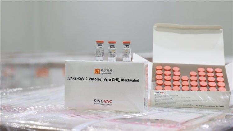 pÇin Dışişleri Bakanlığı sözcüsü Zhao Lijian da basın toplantısında Sinovac'ın aşısının etkinliği hakkında açıklamalarda bulundu. Dışişleri Bakanlığı sözcüsü Lijian, 