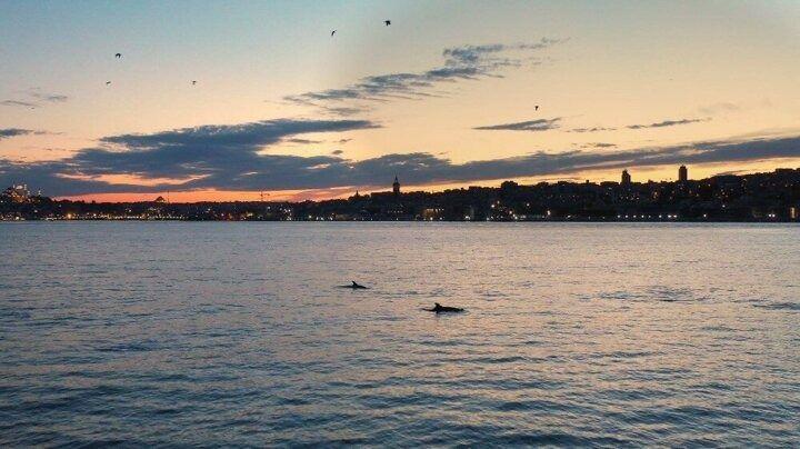 <p>Film İstanbul’un sokağa çıkma kısıtlamasında kuş bakışı nasıl gözüktüğünü gözler önüne serdi.</p>
