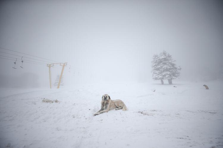 <p>Zirvede yoğun sis etkili olurken g&ouml;r&uuml;ş mesafesi 10 metreye kadar indi.</p>
