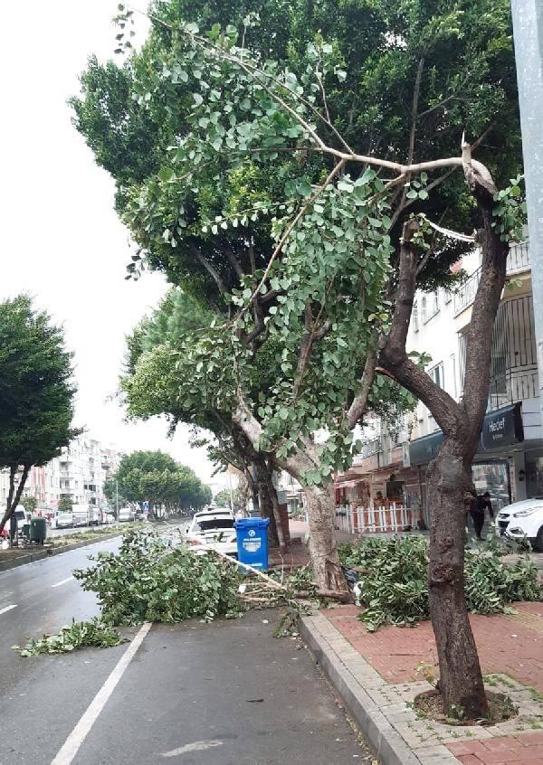 <p>Kent merkezinde TRT, Yıldız, Ali &Ccedil;etinkaya, Konyaaltı, Kardeş Kentler&nbsp;ve İsmet G&ouml;kşen caddelerinde devrilen ağa&ccedil;lar kısa s&uuml;rede kaldırılarak, trafik g&uuml;venliği sağlandı.</p>
