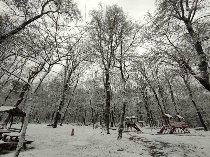 <p>İstanbul'da beklenen kar yağışı etkilil oluyor. Kentte bir&ccedil;ok yer beyaza b&uuml;r&uuml;n&uuml;rken, Belgrad Ormanı da eşsiz kar manzarasına ev sahipliği yaptı. Y&uuml;zlerce ağa&ccedil; lapa lapa yağan karla &ouml;rt&uuml;ld&uuml;. Sokağa &ccedil;ıkma kısıtlaması nedeniyle sessizliğin hakim olduğu ormanda boş kalan piknik masaları da karla kaplandı. Aralıklı kar yağışının devam ettiği ormanda kartpostalllık g&ouml;r&uuml;nt&uuml;ler ortaya &ccedil;ıktı.</p>

<p>&nbsp;</p>
