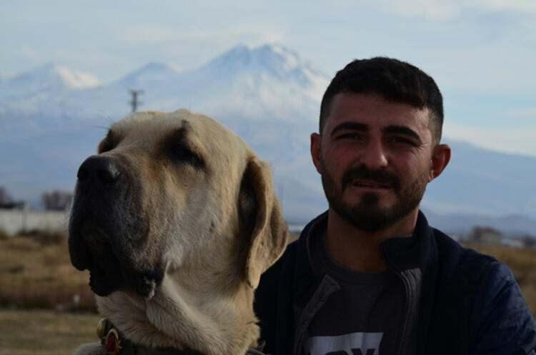 <p>70 BİN LARAYA KADAR SATILIYOR</p>
<p>Malaklı üreticisi Emrah Dağdaş da geçen yıl ürettiği yavru köpeklerinin tamamını sattığını belirtti. Dağdaş, “Bu yıl da yoğun talep var. 4 aylık 2 tane kendimize damızlık ayırdığımız yavrunun tanesine 18 bin lira verdiler.</p>