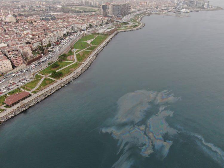 <p>Gemilerden sızan yakıt kirliliği başta hamsi gibi deniz canlıların nasıl tehdit ile karşı karşıya olduğunu gözler önüne serdi.</p>
