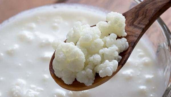 <p><strong>8.Kefir:</strong> Besinlerden aldığımız vitamin ve mineralleri bağırsaklarımızın sağlıklı bir şekilde emebilmesi ve vücut dolaşımımıza aktarabilmesi için bağırsak floramızın sağlığı çok önemli. </p>