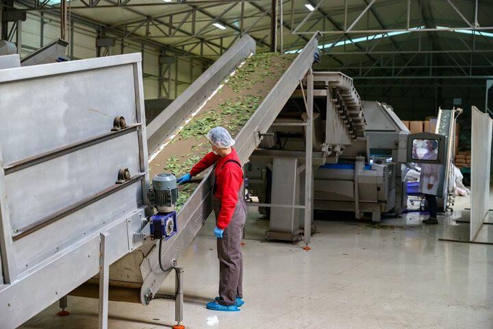 <p>Bu yıl için de yeni bir rekora hazırlandıklarını belirten Özbek, "2021'de geçen yılın yüzde 20 üstüne çıkmayı hedef koyduk. Gelen sinyaller de o yönde." dedi.</p>