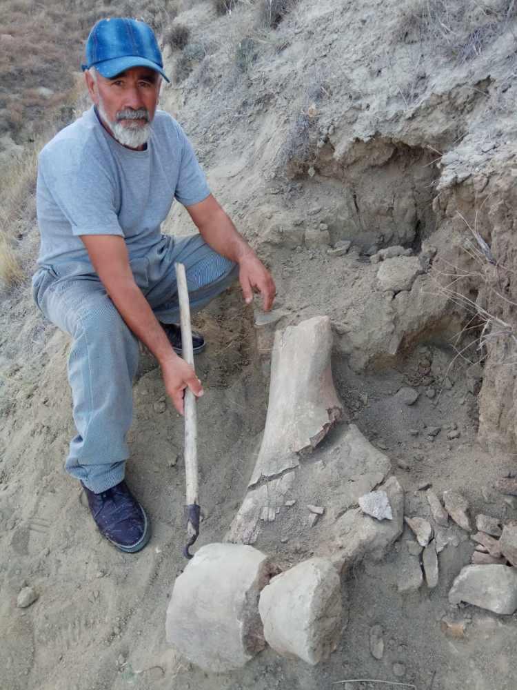 <p>Kemiklerin günümüzden 7-10 milyon yıl önce yaşamış olan mamutların bacak kemiğine benzemesi üzerine çok heyecanlandıklarını anlatan köylülerden Mustafa Keten, “Fosilleşmiş bu kemiklerin mamuta ait olduğunu düşünüyoruz. Yetkililerin bunu araştırmasını bekliyoruz” dedi.</p>
