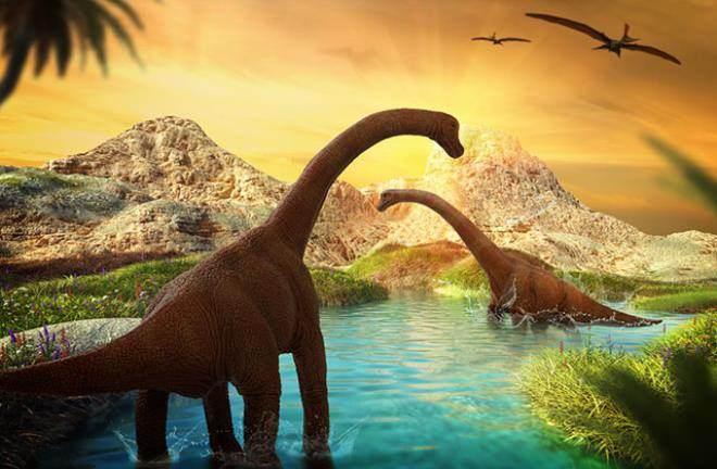 <p>"MOZ-Pv 1221" adını taşıyan fosil örnekleri, dev sauropod dinozorlarının evrimleşmelerini de yansıtıyor. Bu kalıntılar, jeologların 'Candeleros Formasyonu' adını verdikleri kaya katmanlarında bulundu.</p>