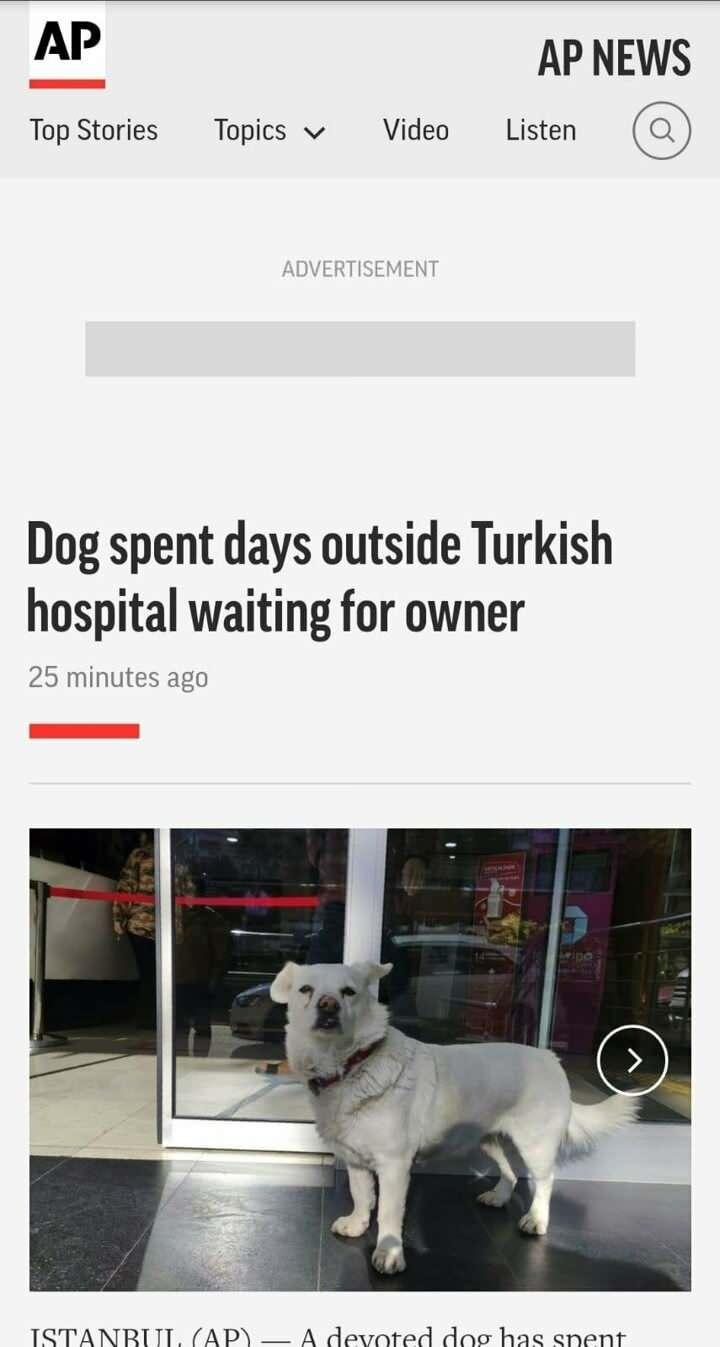 Trabzon'da hastane kapısında 5 gün geçiren 'Boncuk' dünya basınında