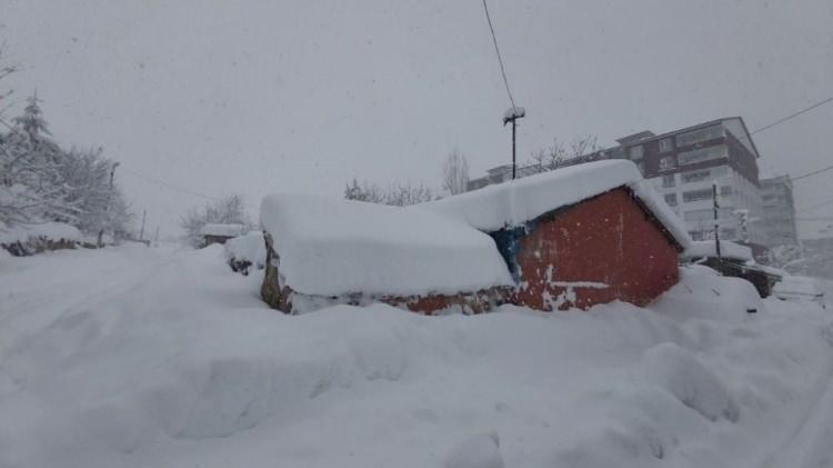 <p>Bitlis’te bir haftadır aralıklarla devam eden kar yağışı kent merkezinde bir, yüksek kesimlerde ise iki metreyi aştı. Araçlar, evler, duraklar ve tabelalar kardan kaybolurken, 290 köy yoluna da ulaşım sağlanamıyor.<br />
 </p>
