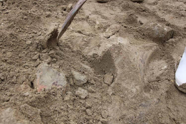<p>Durumun iletildiği Amasya Müzesi yetkilileri inceleme yaptı. Mamut ya da file ait olduğu düşünülen fosillerin çıkarılarak türlerinin tespiti için çalışma yapılacağı öğrenildi.</p>
