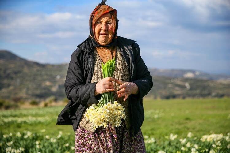 <p>Nergisin hava şartlarından çok etkilendiğini, soğuklarla birlikte ürünün çiçek açmamaya başladığını dile getiren Gürkan, onun için şu anda talepleri karşılamakta zorluk çektiklerini anlattı.</p>

