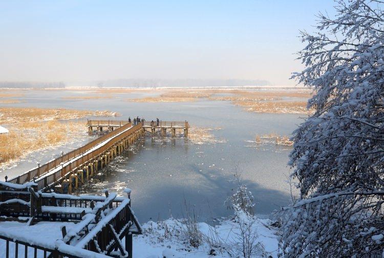 <p>Düzce'nin Gölyaka ilçesinde bulunan Efteni Gölü'nün yüzeyi buzla kaplandı. Düzce kent merkezine yaklaşık 25 kilometre uzaklıkta bulunan ve 150 civarında kuş türüne ev sahipliği yapmasıyla "Kuş Cenneti" olarak da anılan Efteni Gölü, hava sıcaklığının sıfırın altında eksi 12 dereceye düşmesiyle buz tuttu.</p>
