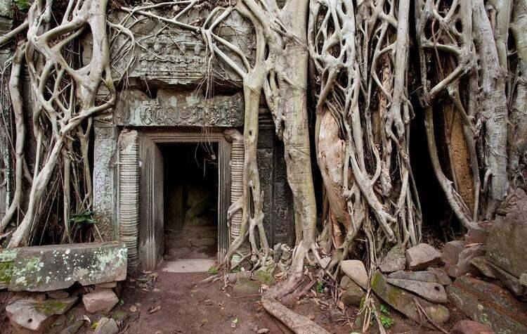 <p>Ta Prohm Tapınağı - Kamboçya </p>

<p>Kamboçya’da mutlaka görülmesi gerekenler listesinin başını tutan Ta Prohm muhteşem bir yapı. Ormanın ortasına inşa edilen yapı yaklaşık 500 yıl önce terk edilmiş. Tapınak terkedildikten sonra ise doğanın hakimiyeti altına girmiş.</p>

