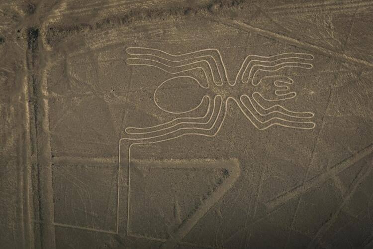 <p>Nazca Çizgileri – Peru </p>
<p>Sadece gökyüzünden görülebilen bu muhteşem şekilleri kim nasıl yaptı bilinmiyor. Cetvelle çizilmiş kadar düzgün olan şekiller, MÖ 200’lü yıllara dayanıyor. Havadan izlenerek gerçekleştirilen bu ziyaret, 20 dakika sürüyor.</p>