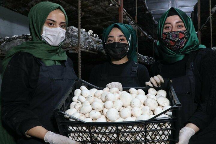 <p>Van'da bir yıl önce Doğu Anadolu Bölgesi'nin en büyük mantar üretim tesisini 2 ortağı ile birlikte kuran Oktay Kara, bölge illerine de hizmet veriyor. Aylık 20 ton mantar üretimi yapılan tesiste 20'si kadın 30 kişi istihdam ediliyor. Çok fazla talebin olduğunu belirten Kara, bunları karşılamak için tesisi büyütme çalışmalarına başladıklarını söyledi.</p>
<p></p>