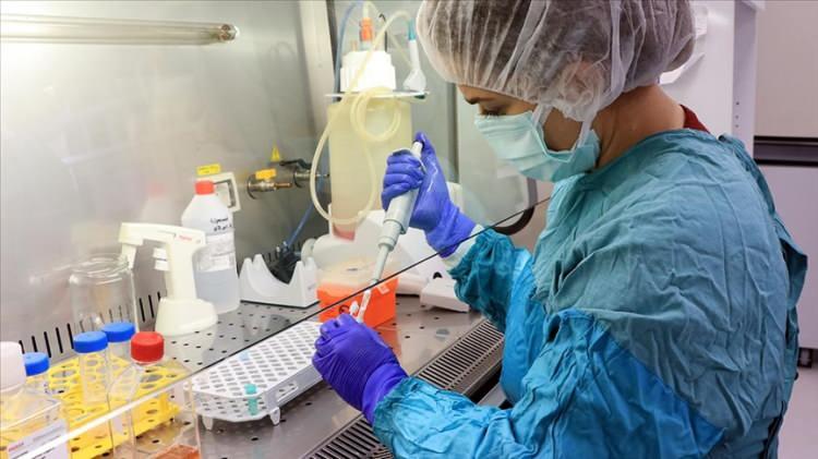 <p>MUTANT VİRÜS DAHA YÜKSEK VİRAL YÜKE NEDEN OLUYOR<br />
<br />
Warwick Üniversitesi'nde virolog ve moleküler onkoloji profesörü olan Profesör Lawrence Young, virüsün yeni varyantında orijinal Wuhan virüsüne kıyasla 23 değişiklik olduğunu söyledi.</p>