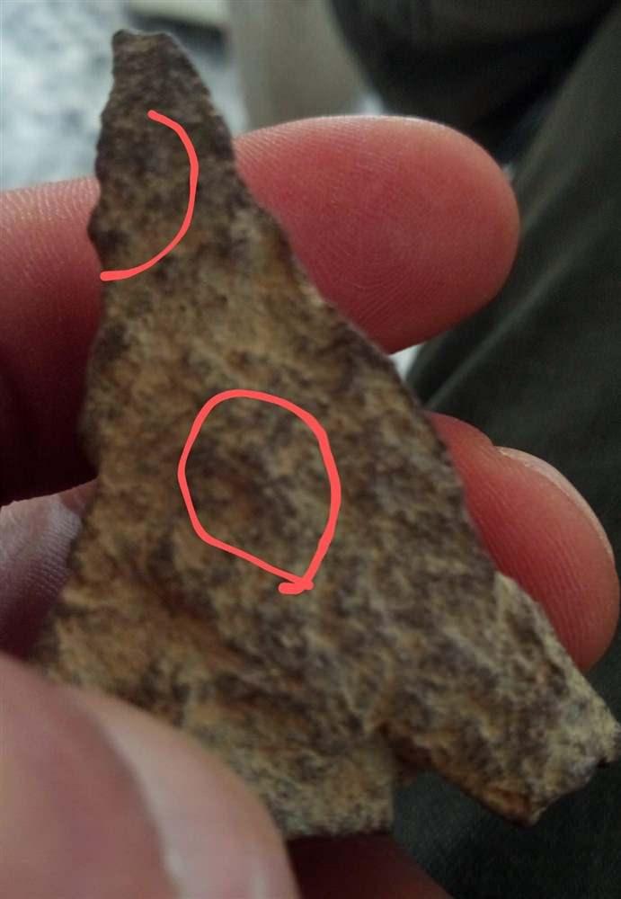 <p>Çıplak gözle ilk bakıldığında ne olduğu anlaşılmayan fakat dikkatlice incelendiğinde 3 boyutlu olduğu ve içlerinde gizli resimlerin bulunduğu taşlarda Hz. İsa'nın kanatlı resmi, Meryem Ana ve kutsal kase gibi figürlerin yanı sıra değişik şekillerde objeler de görülüyor. Taşların üzerinde fil, köpek, geyik, boğa olarak tasvir edilmiş resimler de yer alıyor. </p>

<p> </p>
