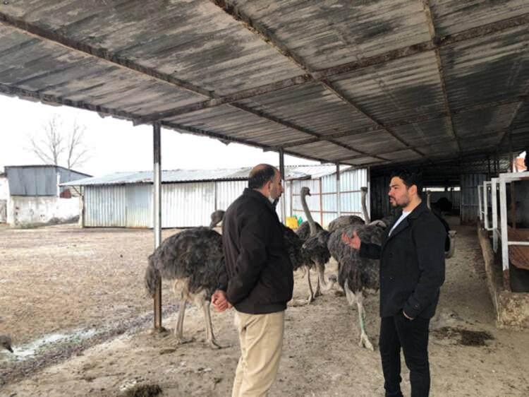 Profesörlüğü bıraktı bu işe başladı! İsrail'e kafa tuttu