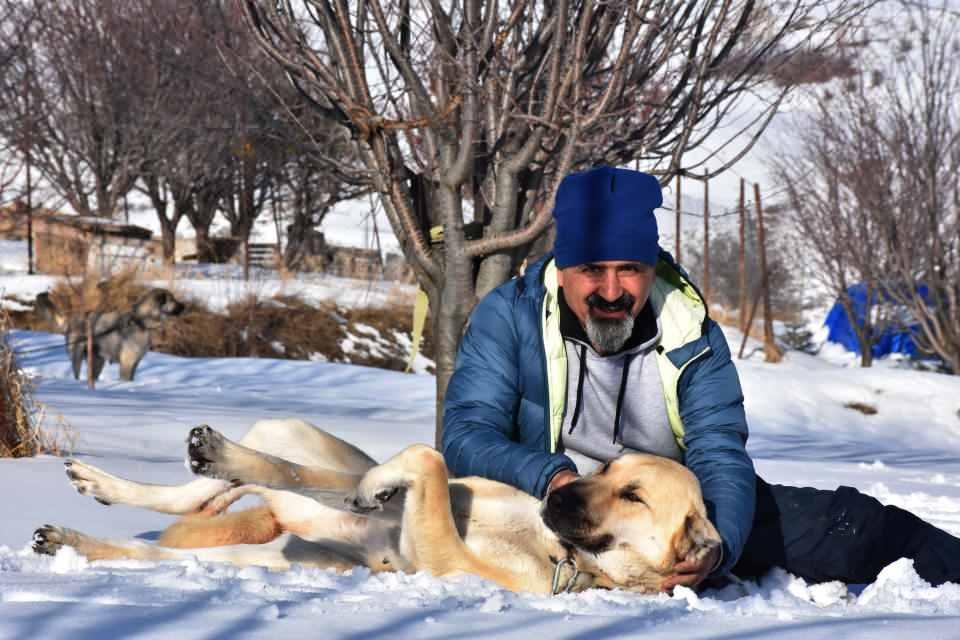 <div><strong>'ORİJİNAL KANGAL SAHİPLENİLMELİ'</strong></div>
<div> </div>
<div>Sürü sahiplerinin orijinal Kangal köpeği beslemesi gerektiğini söyleyen Yalçınkaya, "Ben Kayseri'deki ve Gemerek'teki olayların videosunu izledim. </div>
