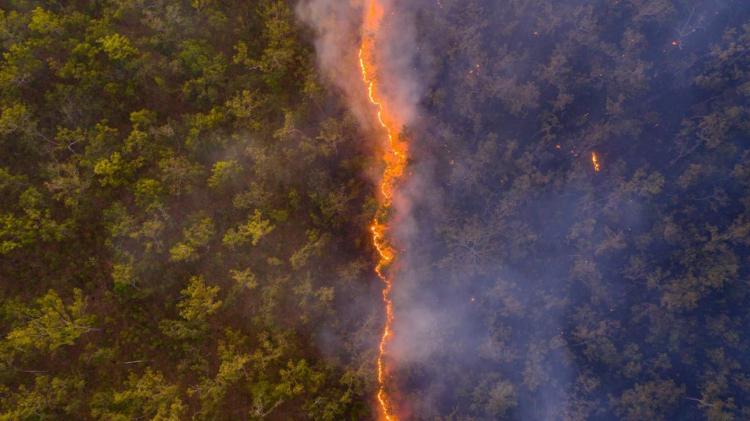 <p>İngiltere Doğa Tarihi Müzesi, 2020'nin doğa fotoğraflarını belirledi. Birincilik, Avustralya'daki orman yangınlarına ait bir dron fotoğrafına verildi.</p>

<p> </p>

<p>Avustralya`da milyonlarca hektar araziyi etkileyen orman yangınından.</p>

<p>© Robert Irwin</p>
