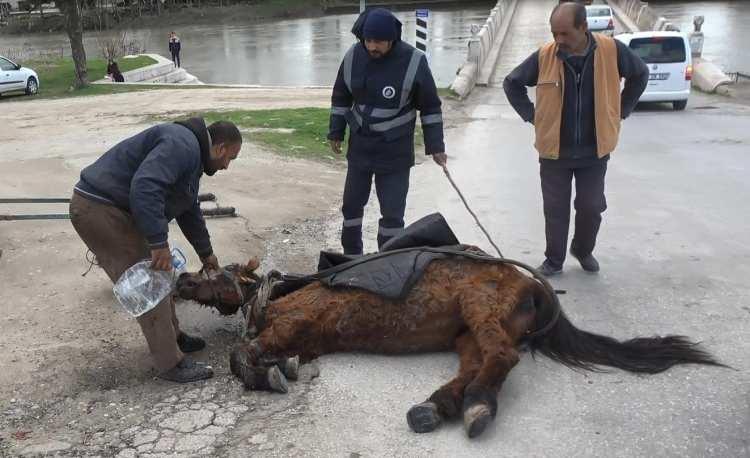 <p>Ata yapılan m&uuml;dahalenin vandallık olduğunu s&ouml;yleyen Edirne Bir El Bin Nefes Derneği Başkanı Yağmur Islattı, "Eminim ki, bug&uuml;n o at, tekrar &ccedil;alıştırılıyor. B&ouml;yle bir sıkıntı var. 2021 yılındayız ve bir hayvana b&ouml;yle bu eziyetin şehrimizde, &uuml;lkemizde devam ediyor olmasını vandallık olarak g&ouml;r&uuml;yorum. Bunun durdurulması lazım" dedi.</p>

<p>&nbsp;</p>
