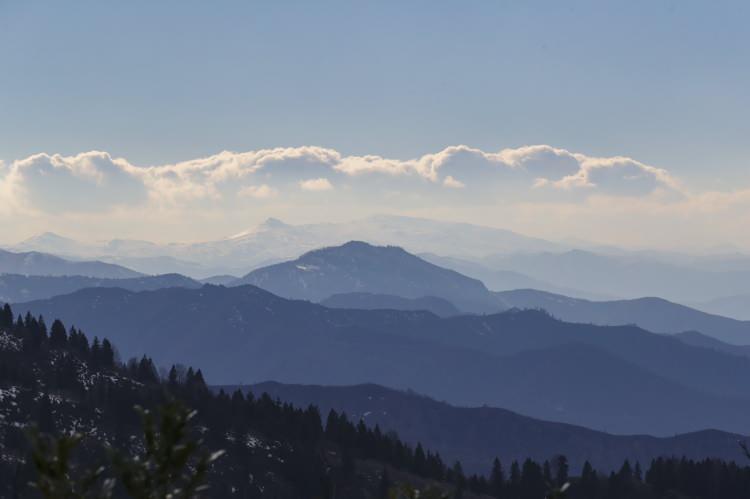 <p>Cumhurbaşkanı Recep Tayyip Erdoğan ile birlikte perşembe akşamı Rize&rsquo;ye gelen eşi Emine Erdoğan d&uuml;n G&uuml;neysu il&ccedil;esindeki Hand&uuml;z&uuml; Yaylası Tabiat Parkı'nı ziyaret etti.&nbsp;</p>
