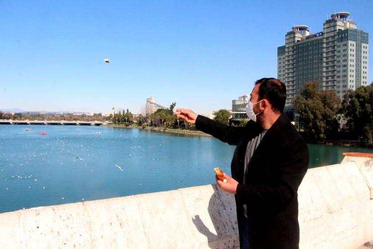 <p>Merkez Seyhan ve Yüreğir ilçelerini birbirine bağlayan Seyhan Nehri üzerindeki tarihi Taşköprü'de vatandaşlar, güneşli havanın keyfini çıkardı. Köprü üzerinden Seyhan Nehri'nde bulunan yüzlerce martıyı simit ve evden getirdikleri ekmekle besleyenler, renkli görüntüler oluşturdu. Bu anları fırsat bilen fotoğrafçılar da güzel görüntüler çekti. Evde artan ekmelerini biriktirip, martılara atan Vural İncirligöz, kebapçılara seslenerek, “Artan ekmeklerini çöpe atmayıp, getirsinler buraya atsınlar. Biz bakkaldan normal ekmek de alıp, martılara atıyoruz. Martılar ekmekleri havada tutuyor. Hayvanlar aç” dedi.</p>

<p> </p>

<p> </p>
