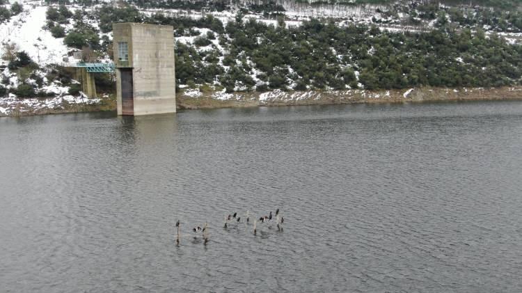 <p>İstanbul'da pazar gecesinden itibaren etkili olan kar yağışı, barajlardaki doluluk oranını artırdı. </p>
