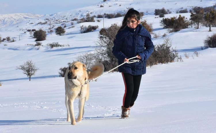 

<p>Sivas’ta Doğal Irk Kangal Köpeği Sevenler ve Koruyanlar Derneği Başkanı ve köpek uzmanı Orhan Yalçınkaya’nın 2 çocuğundan küçüğü Naz, neredeyse her gününü Kangal köpekleriyle geçiriyor. </p>
<p>” _msthidden=”A” _mstalt=”27678235″ _msthash=”115″><br />
						</figure>
</p></div>
<div>
<p>						<!-- Gallery Item - Header --></p>
<div>
							<!-- Page - Count --></p>
<p><span _mstmutation=