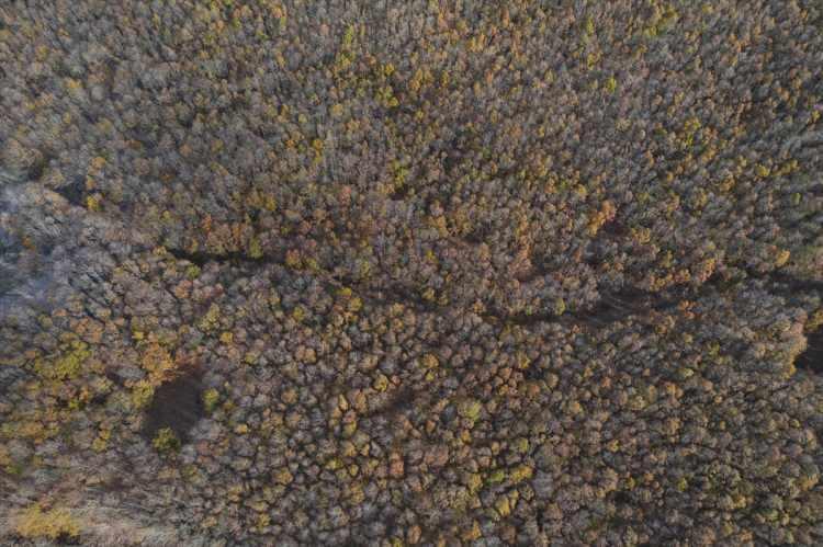 <p>Tekirdağ'ın İstanbul'a 1 saatlik mesafede olmasının kente avantaj sağladığını belirten Hacıoğlu, "Projenin hayata ge&ccedil;mesi ile İkiz G&ouml;ller Avrupa'dan da T&uuml;rkiye'nin diğer illerinden de turist &ccedil;ekecektir. Tekirdağ'ımıza, &uuml;lkemize hayırlı olmasını temenni ediyorum." diye konuştu.</p>

<p>&nbsp;</p>
