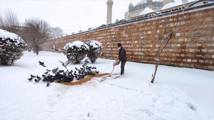 <p>Edirne'de hafta sonu başlayan kar yağışı hem vatandaşı hem de &uuml;reticiyi sevindirirken, kentin beyaz &ouml;rt&uuml; ile kaplanması &ouml;zellikle Selimiye Camii, Meri&ccedil; ve Tunca nehirleri ile tarihi semt Karaağa&ccedil;'ta kartpostallık g&ouml;r&uuml;nt&uuml;leri oluşturdu. Belediye ve hayvanlarseverler ise soğuk hava ve zorlu kış koşullarında sokak hayvanlarının beslenme ihtiyacını karşılayarak can dostlarının hayata tutunması sağlandı.&nbsp;</p>

<p>&nbsp;</p>

