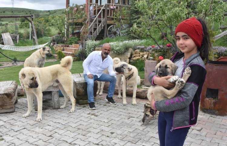 <p> Ben ona 'Kangal'ların prensesi' diyorum. Gerçekten de Kangal köpeklerini çok seviyor, bu da bir baba için mutluluk verici" diye konuştu.</p>
