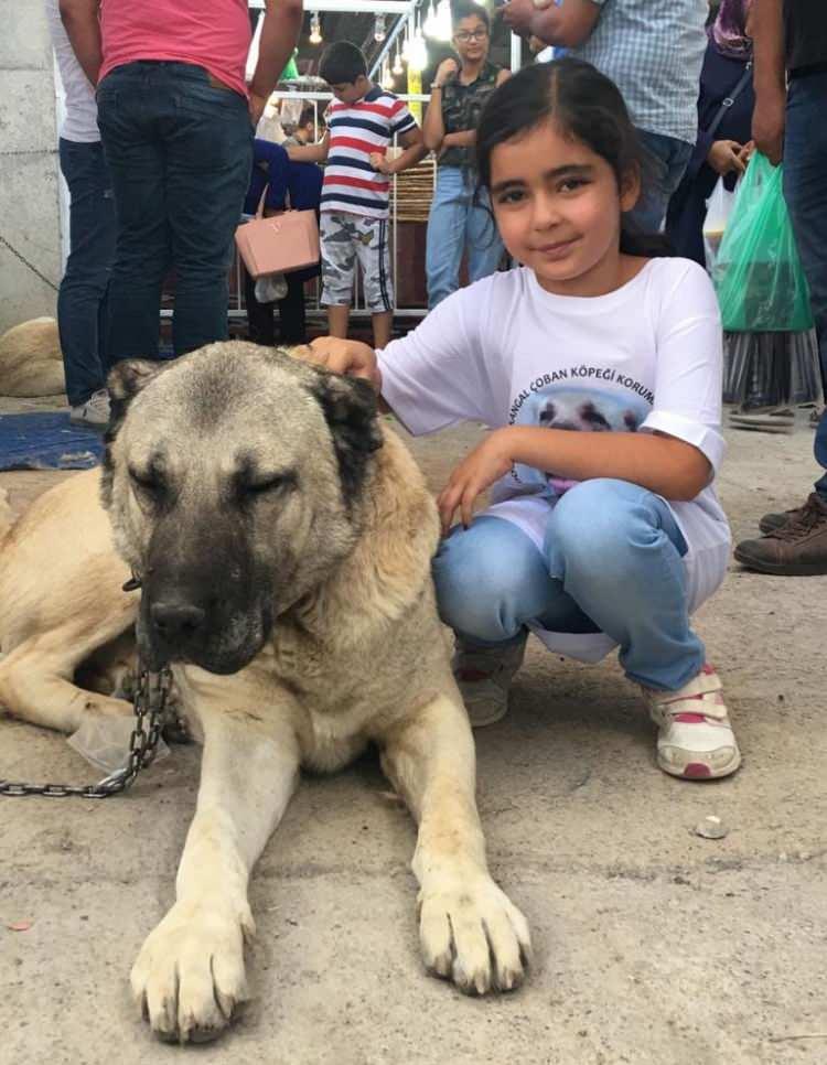 <p>Taranması gerekiyorsa tarıyor, günlük bakımlarını yapıyor. Naz çok güzel bir hayvansever.</p>
