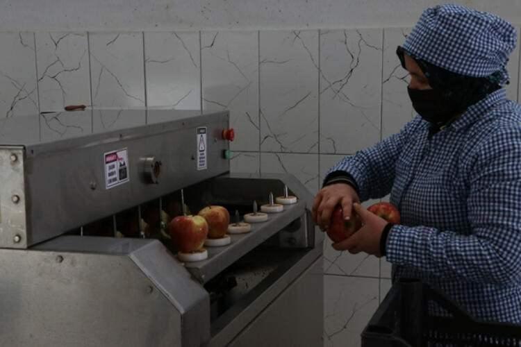 <p>Akbulut, Niğde ve çevre illerdeki çiftçilerden narenciye, portakal, limon, muz, nar gibi ürünleri tedarik ettiklerini, ülke ekonomisine fayda sağlamaya çalıştıklarını sözlerine ekledi.</p>

<p> </p>
