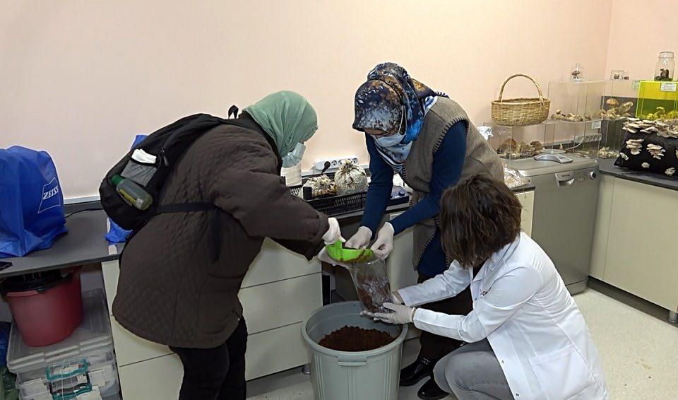 <p>Düzce Üniversitesi Geleneksel ve Tamamlayıcı Tıp Merkezi’nde kültür, istiridye, şitaki ve reishi mantarları konusunda kültürleştirme çalışması yapılarak sera ortamında yetişmeleri sağlandı. Bu sayede mantarlar hem yemeklerde hem de tıbbi alanlarda kullanılabiliyor. </p>
<p> </p>
