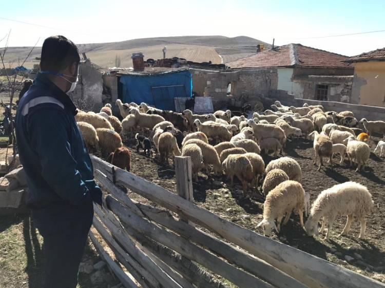 <p>Yangının hemen ardından Nevşehir Valiliği ve Tarım ve Orman İl Müdürlüğü yetkililerince başlatılan çalışmanın ardından ortaya çıkan rapor sonucunda, mağdur olan çiftçilere destek sağlanması kararlaştırıldı.</p>

