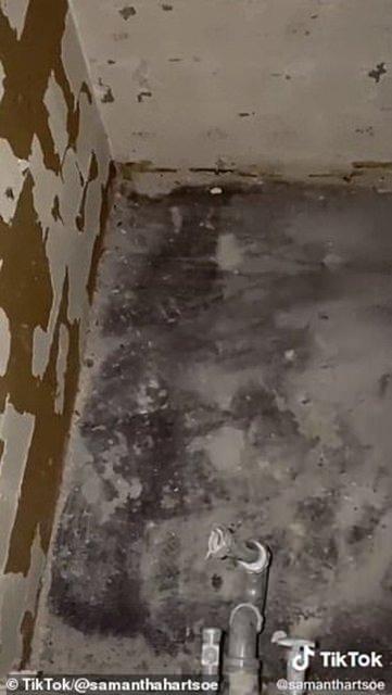 <p>Gizli apartman dairesi sosyal medya kullanıcılarını ikiye böldü. Bazıları gizli daireyi kullanabileceği tavsiyesinde bulundu, bazıları ise başka bir girişin varlığını fark etmeden evde yaşama fikrinden endişe duyduğunu dile getirdi.</p>

<p> </p>
